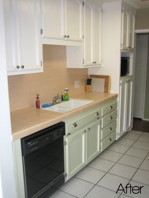 Kitchens With Green Cabinets