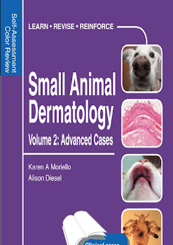 Small Animal Dermatology Volume2