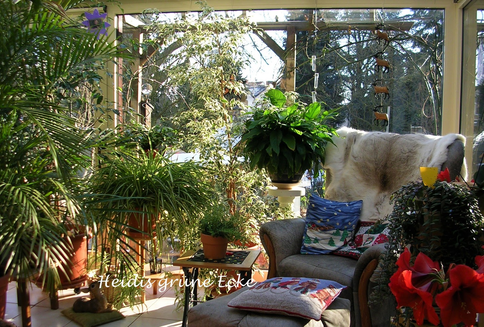 Heidis Gr Ne Ecke Winterzeit Ist Auch Planungszeit Und Eine Heidis Gr Ne Ecke Winterzeit Ist Auch Planungszeit Und Eine