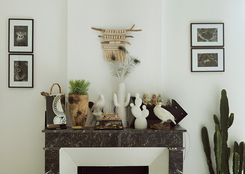 ����� ����� creative-familys-apa