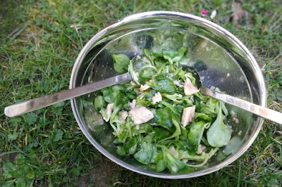 Feldsalat mit geräucherter Forelle Feldsalat mit geräucherter Forelle