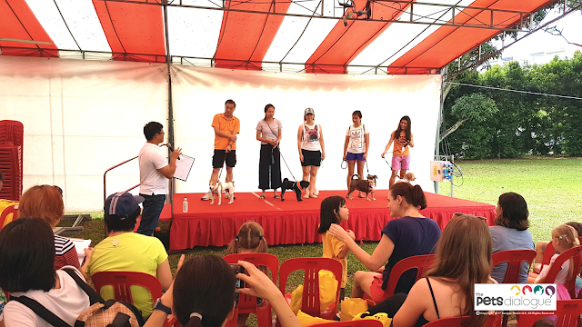 Pet Events in Singapore