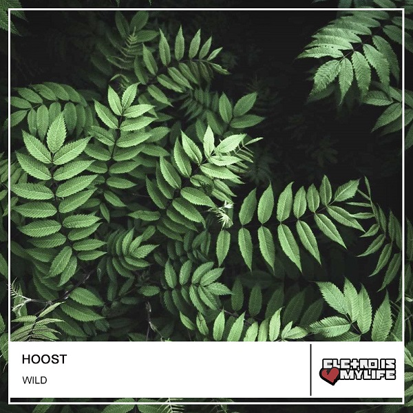 Hoost - Wild (Original Mix)