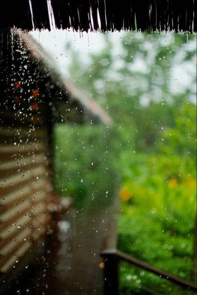 Hình nền đẹp mưa buồn. “ Một mình đếm giọt mưa rơi, Giọt… | by Bạch Tử Họa  | Medium