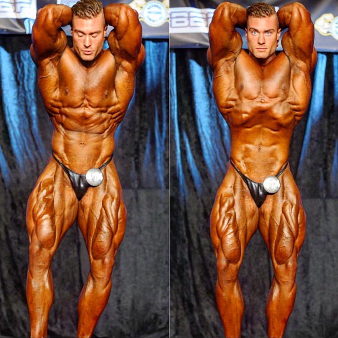 Canadian macho tiger Chris Bumstead.