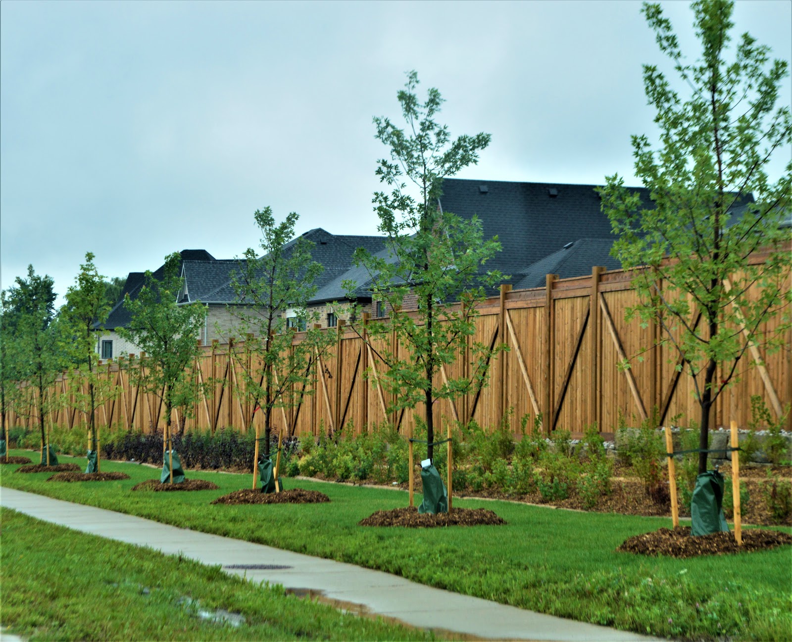 Camera on King & Aurora Stretch of Keele Street gets a facelift...
