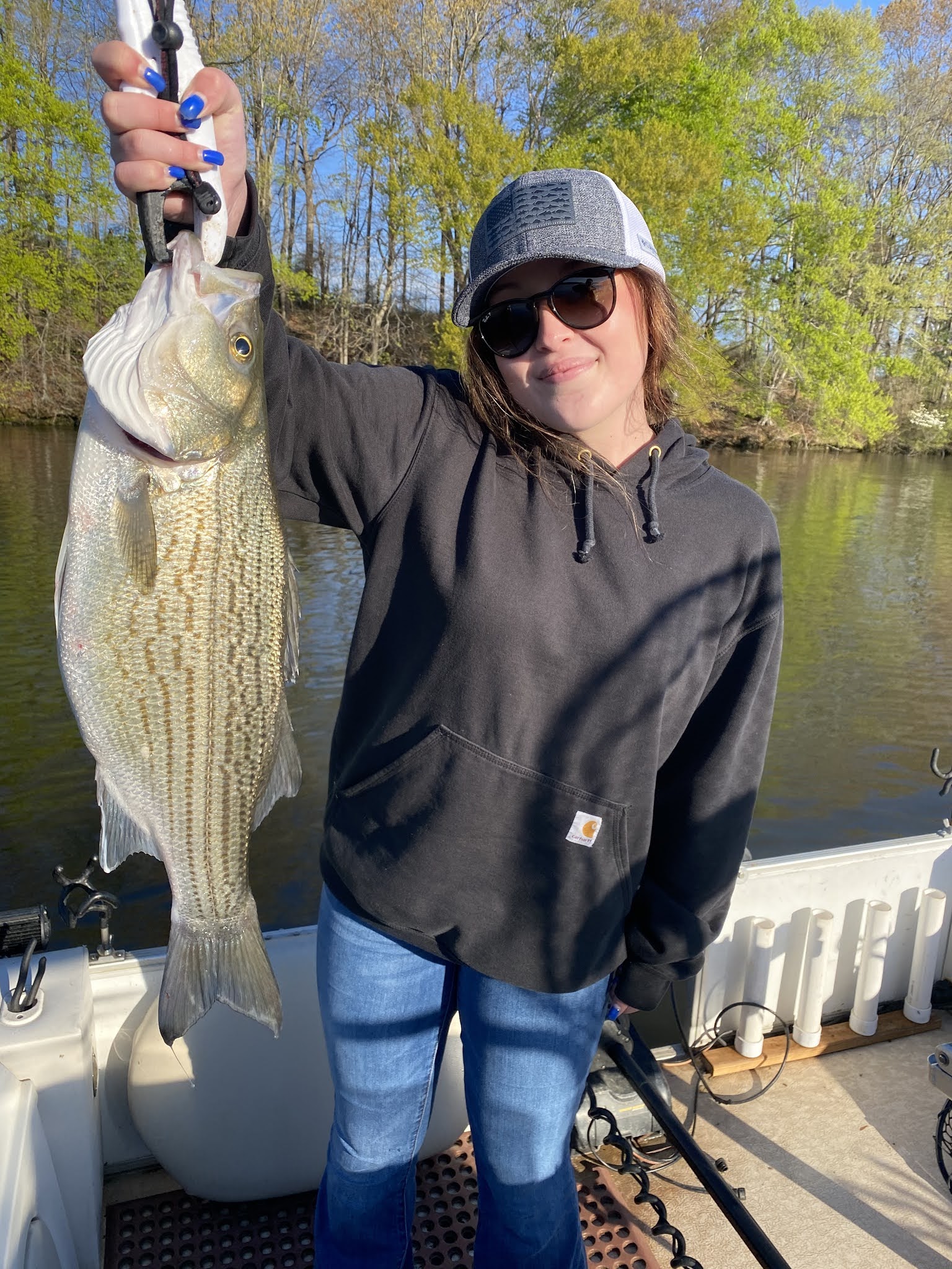 Striper Report Lake Anna gives up another Citation Jim Hemby Guide Service VA Outdoors