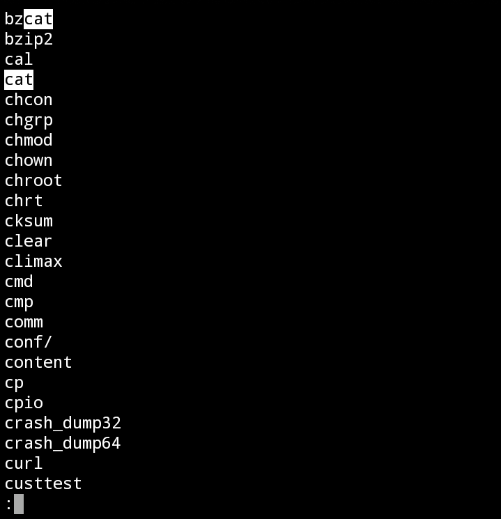 to find a word in linux using less command