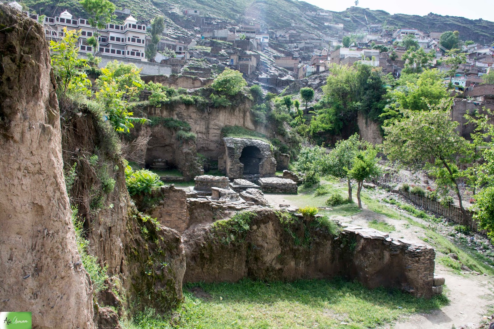 Ali Usman Baig Butkara III (2019)