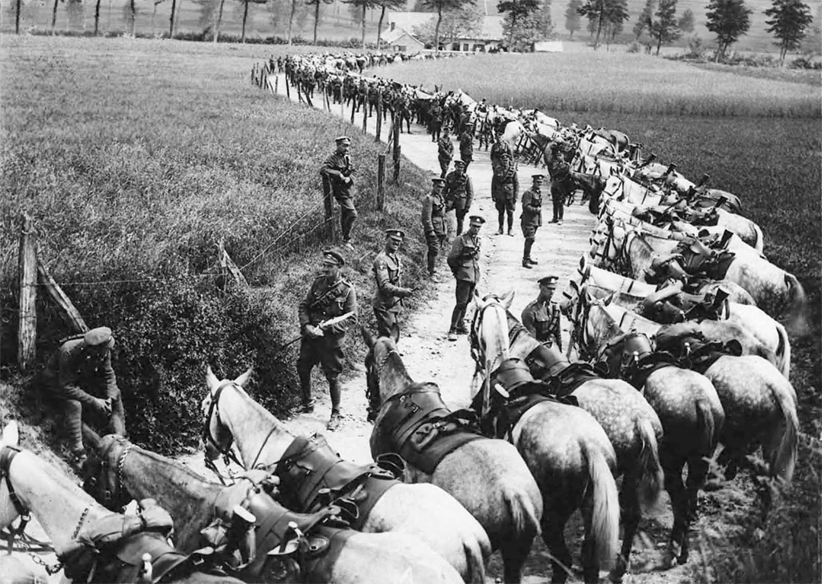 Members of the Royal Scots Greys cavalry regiment rest their horses by the side of the road, in France.