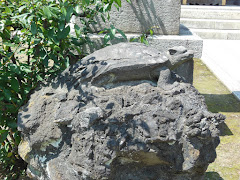 ���c��_��