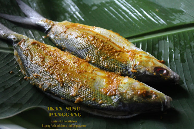 Ikan Susu Panggang