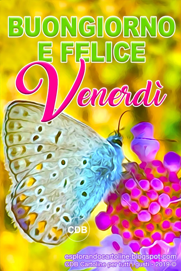 Cdb Cartoline Per Tutti I Gusti Buongiorno E Felice Venerdi Cartolina Con Immagine Di Stupenda Farfalla Posata Su Un Fiore Da Scaricare Gratis