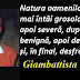 Maxima zilei: 23 iunie - Giambattista Vico