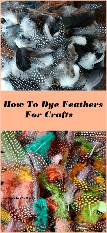 How to dye feathers cheaply - Feathers in the woods