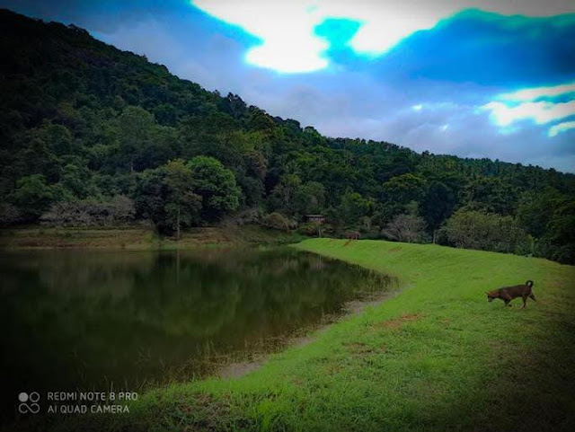 සුන්දර ජලාශයක් බලන්න ‍යමුද... - තැම්පාන ජලාශය ❤🌳🌱🎋🍃 (Thampana) - Your Choice Way