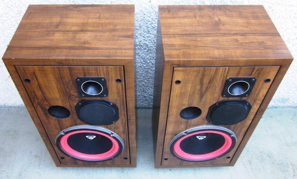 d3 cerwin vega speakers