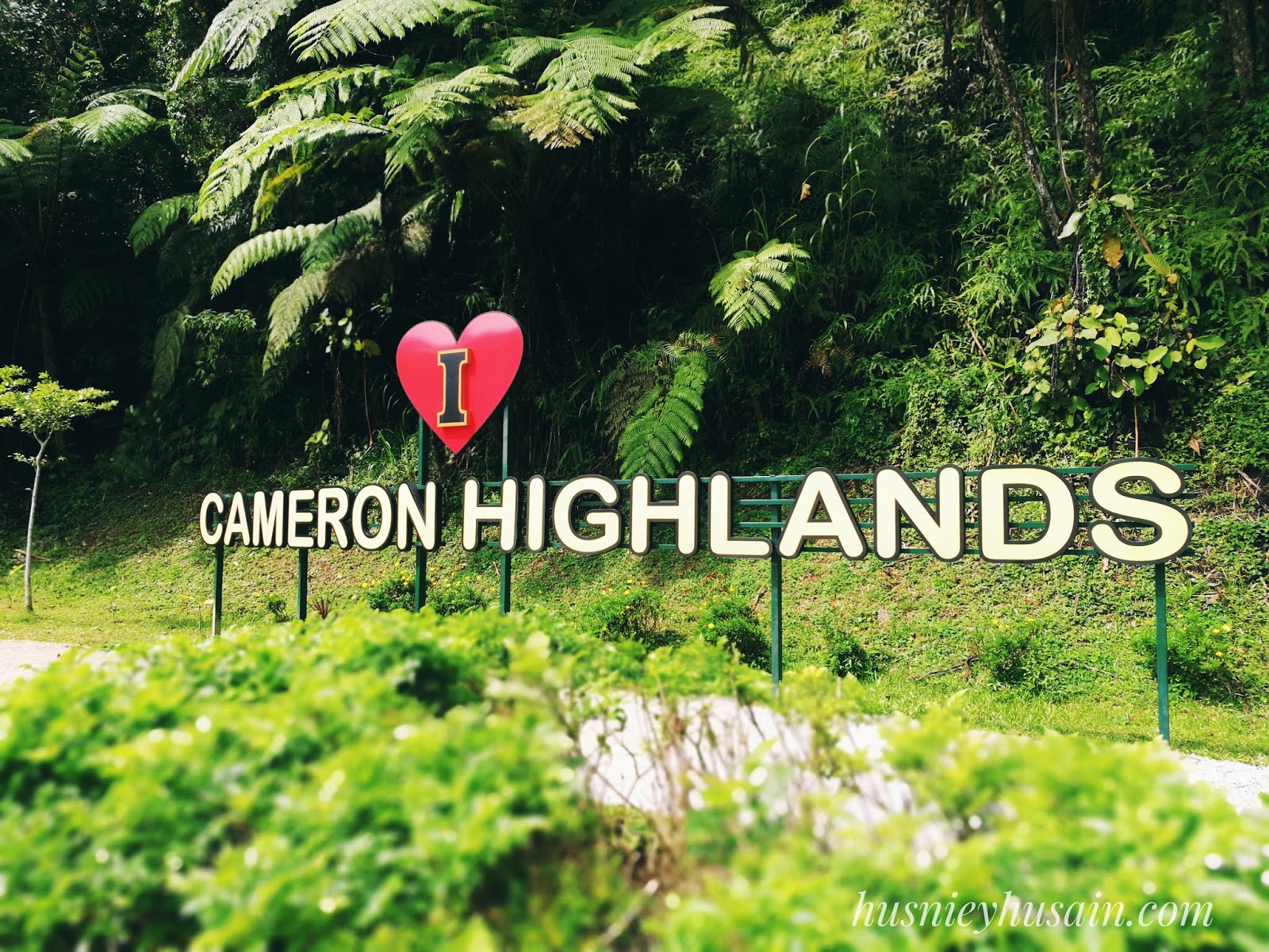 Syok Bercuti Di Cameron Highlands Pada Raya Aidiladha 2018 Husniey Husain