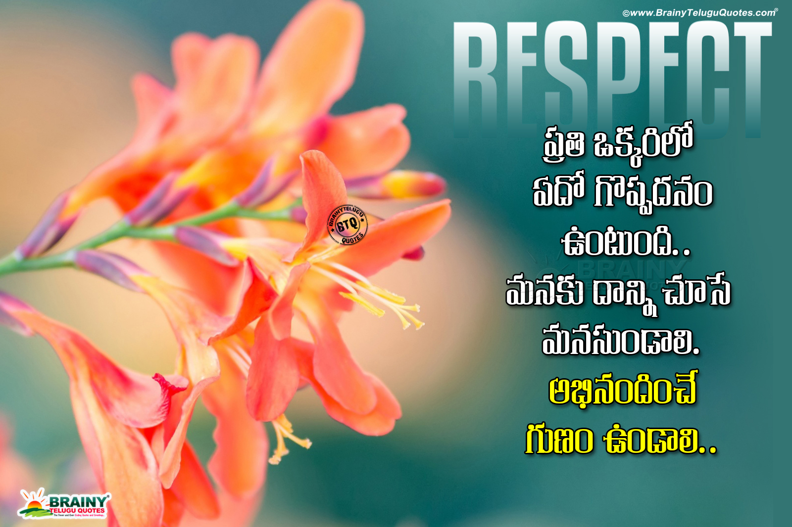 Top Telugu Inspirational Quote On RespectDaily Telugu Motivational