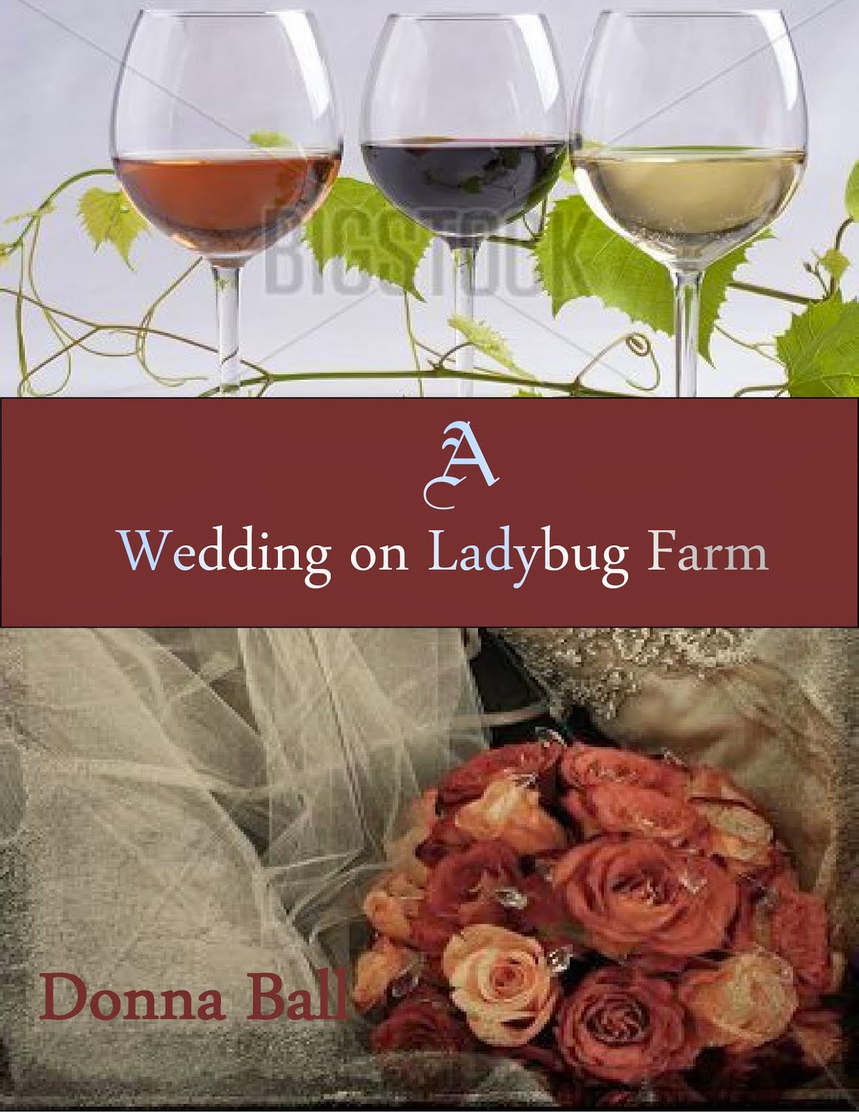 A Wedding on Ladybug Farm