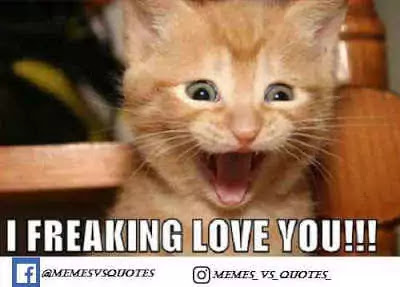 Click and get 101 best I Love You Meme that you can get anywhere else. I Love You Meme