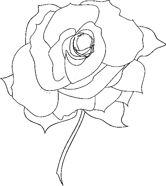 Roses Flower Coloring Pages