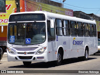 O uso da placa do Mercosul na frota de ônibus potiguar 17 33b684786c8ce4b2ca816ed8ee49bb55