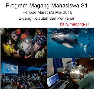 magang mahasiswa s1 kelautan perikanan magang mahasiswa s1 kelautan perikanan