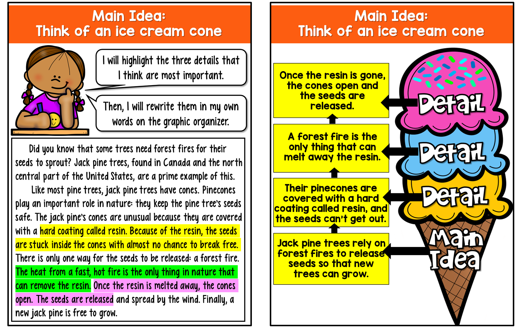 Main Idea 4th Grade Video