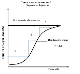 6 - Pragas e Eventos