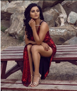 Tamil actress Sunitha Varma glamourous dress images