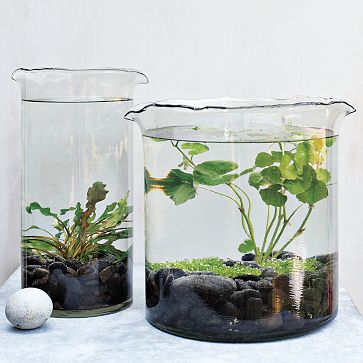 Spiral Style: West Elm Sale