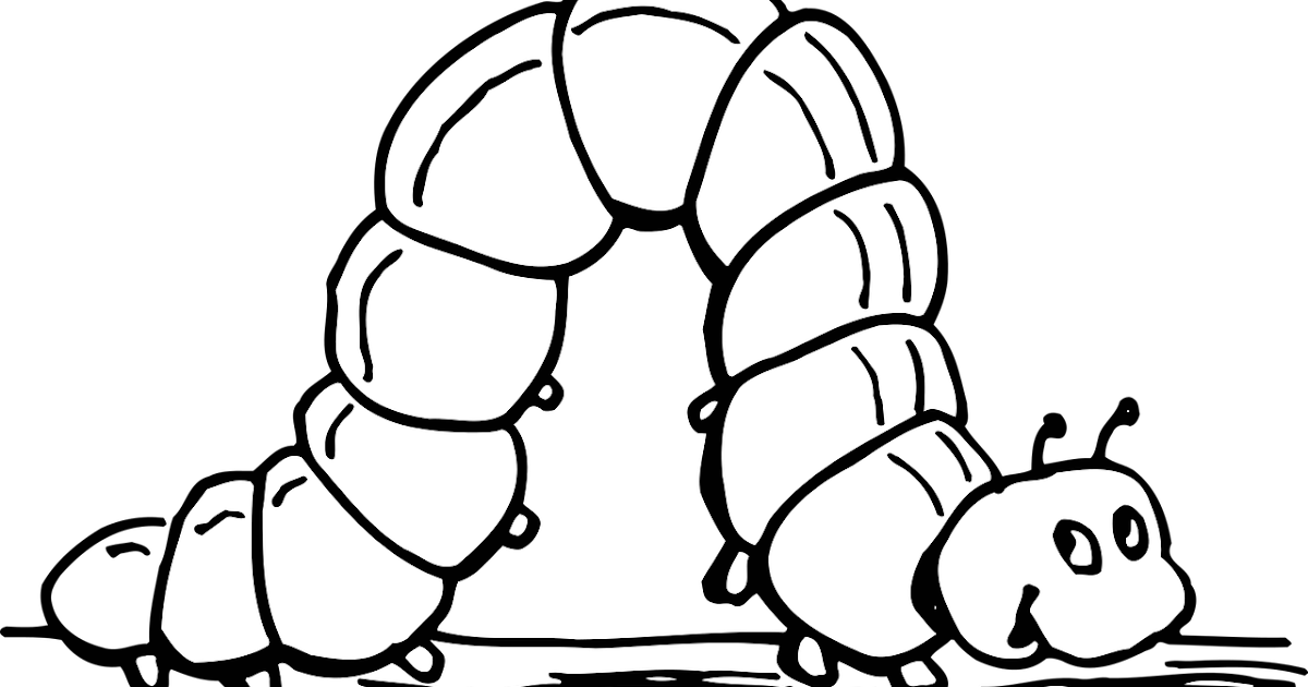 Islamic Dream Meanings and Interpretations I saw Caterpillar in my Dream