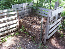 Un blog sobre la experiencia de compostaje y de un huerto en un colegio