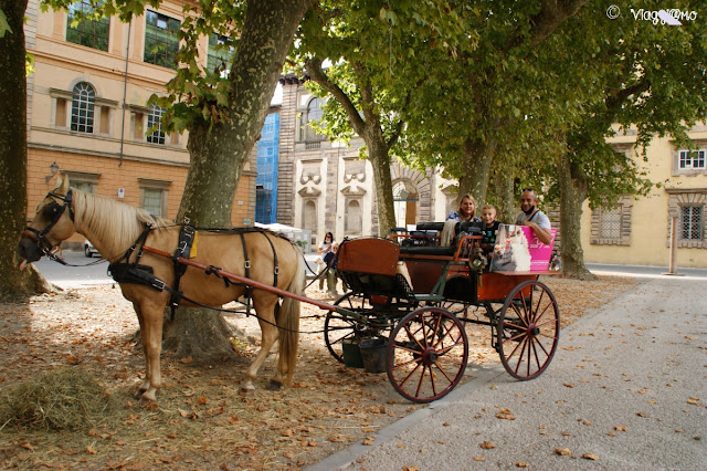 A spasso per la mura cittadine di Lucca in Calesse