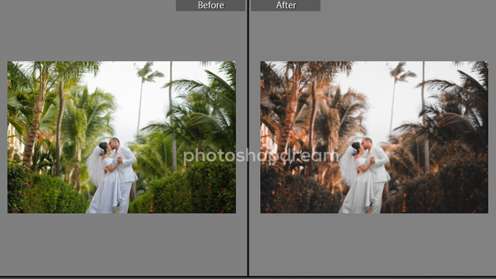 photoshop cc 2021 camera raw presets free download photoshop cc 2021 camera raw presets free download