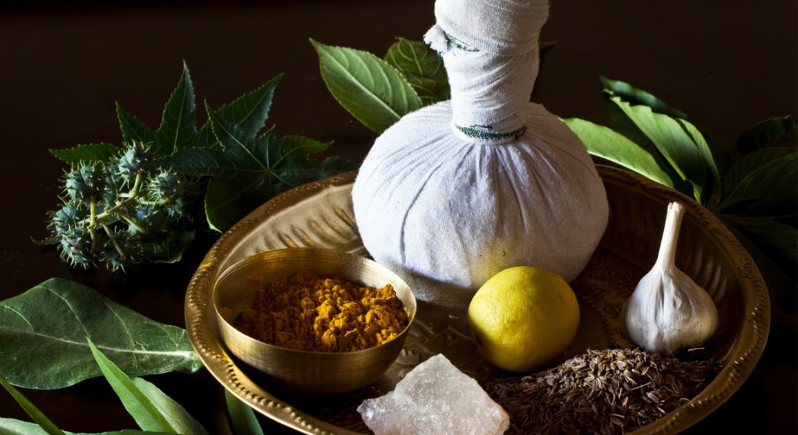 Rohini Ayurvedic Wellness Center Ayurveda introduction