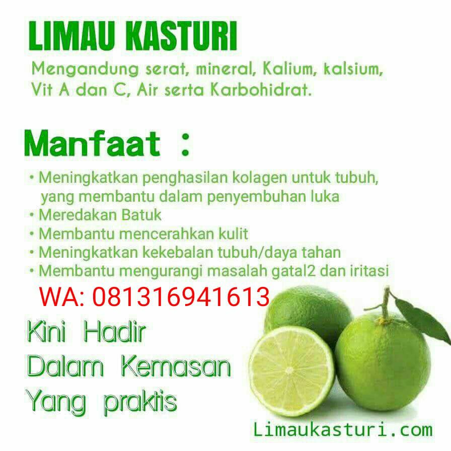 Manfaat Limau Internasional Limau Kasturi Ilk