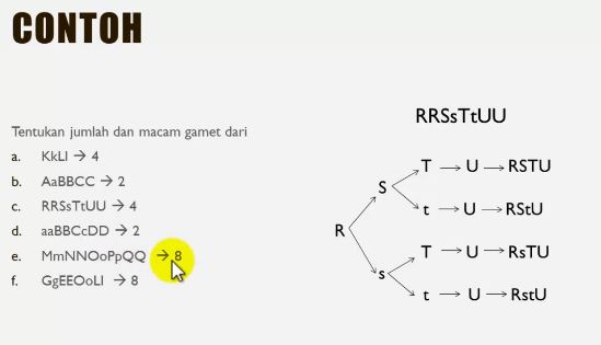 Seorang wanita dengan genotip MmNnOoPP akan mempunyai macam gamet yang