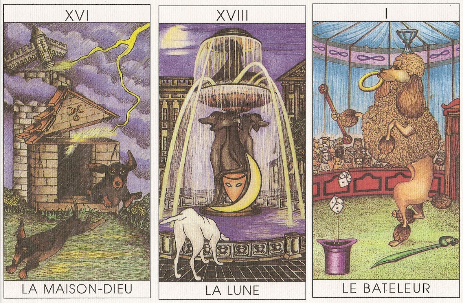 Peut On Mettre Un Roi Dans Le Chien Au Tarot eno-tarot.blogspot.com