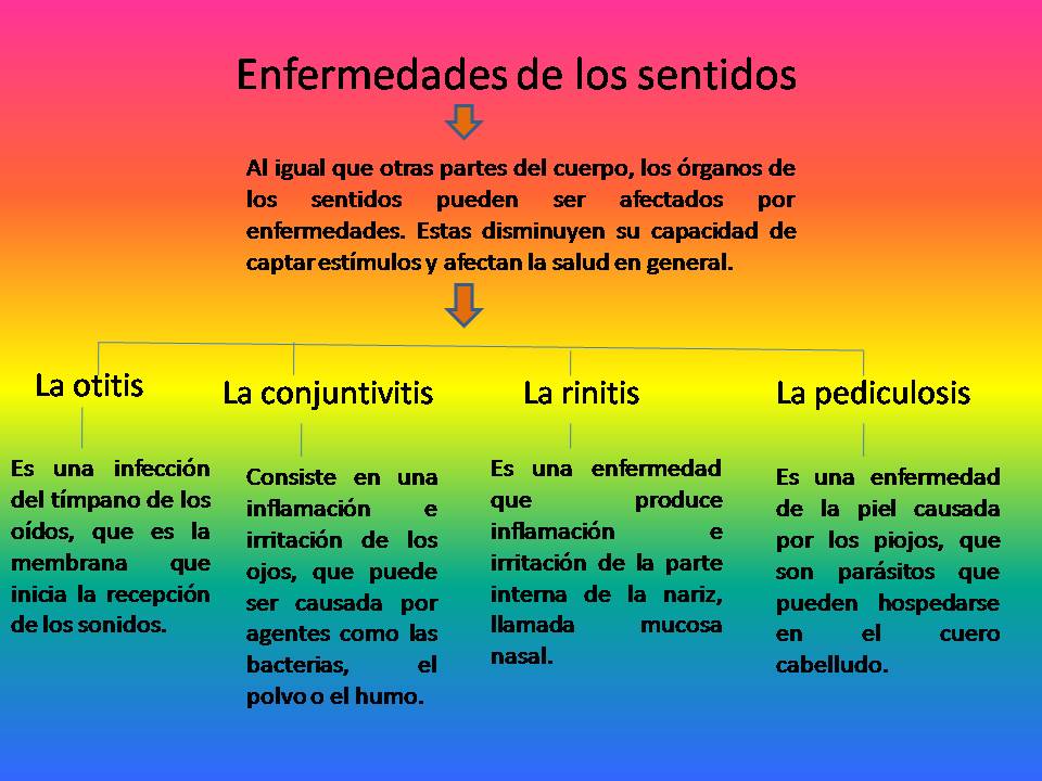 Enfermedades de los sentidos: Los sentidos y sus enfermedades
