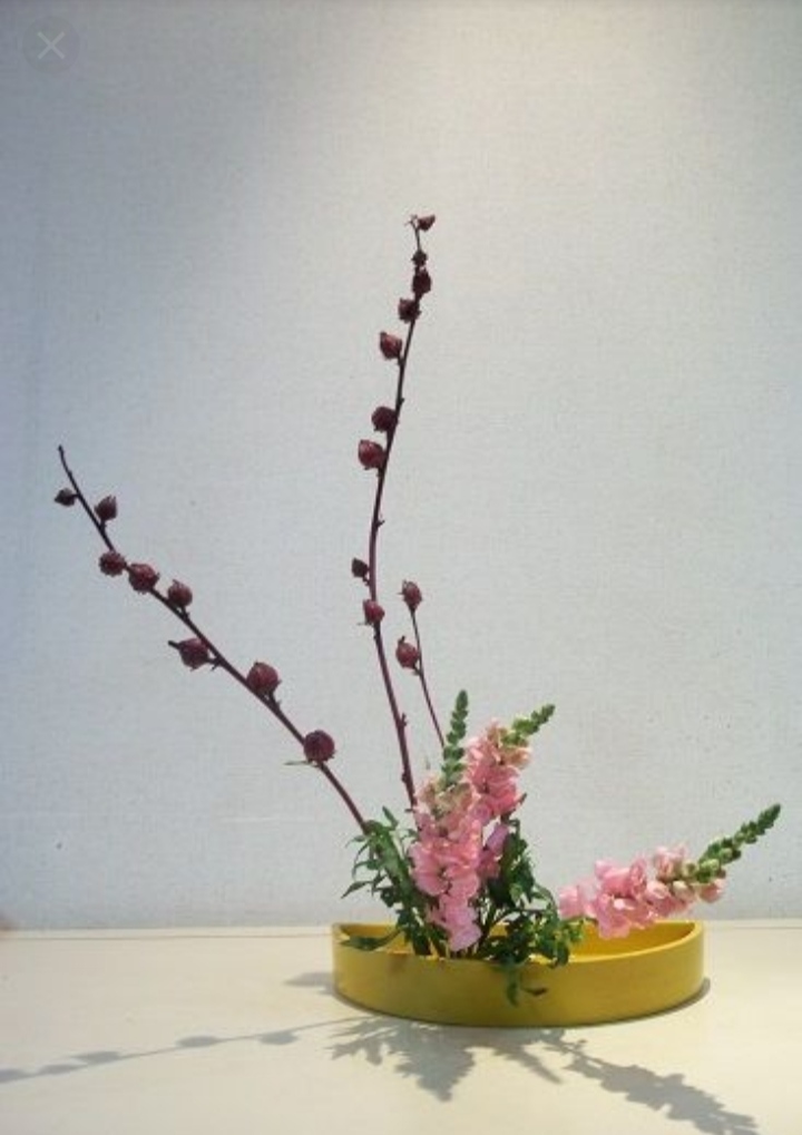 Ikabena Flower Arrangement Guidelines