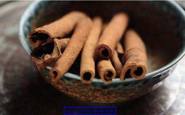 تجربتي مع القرفة للتخسيس وخسارة الوزن الزائد بسرعة