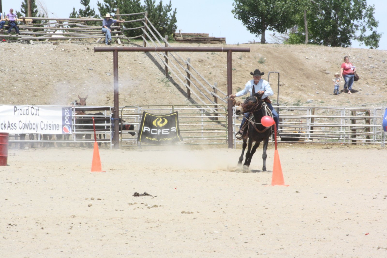 PairADice Mules Mounted Shooting Jake Clark Mule Days