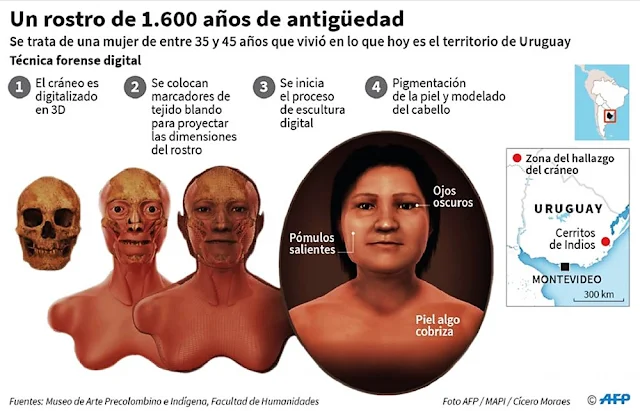 Le ponen rostro al cráneo más antiguo hallado en Uruguay