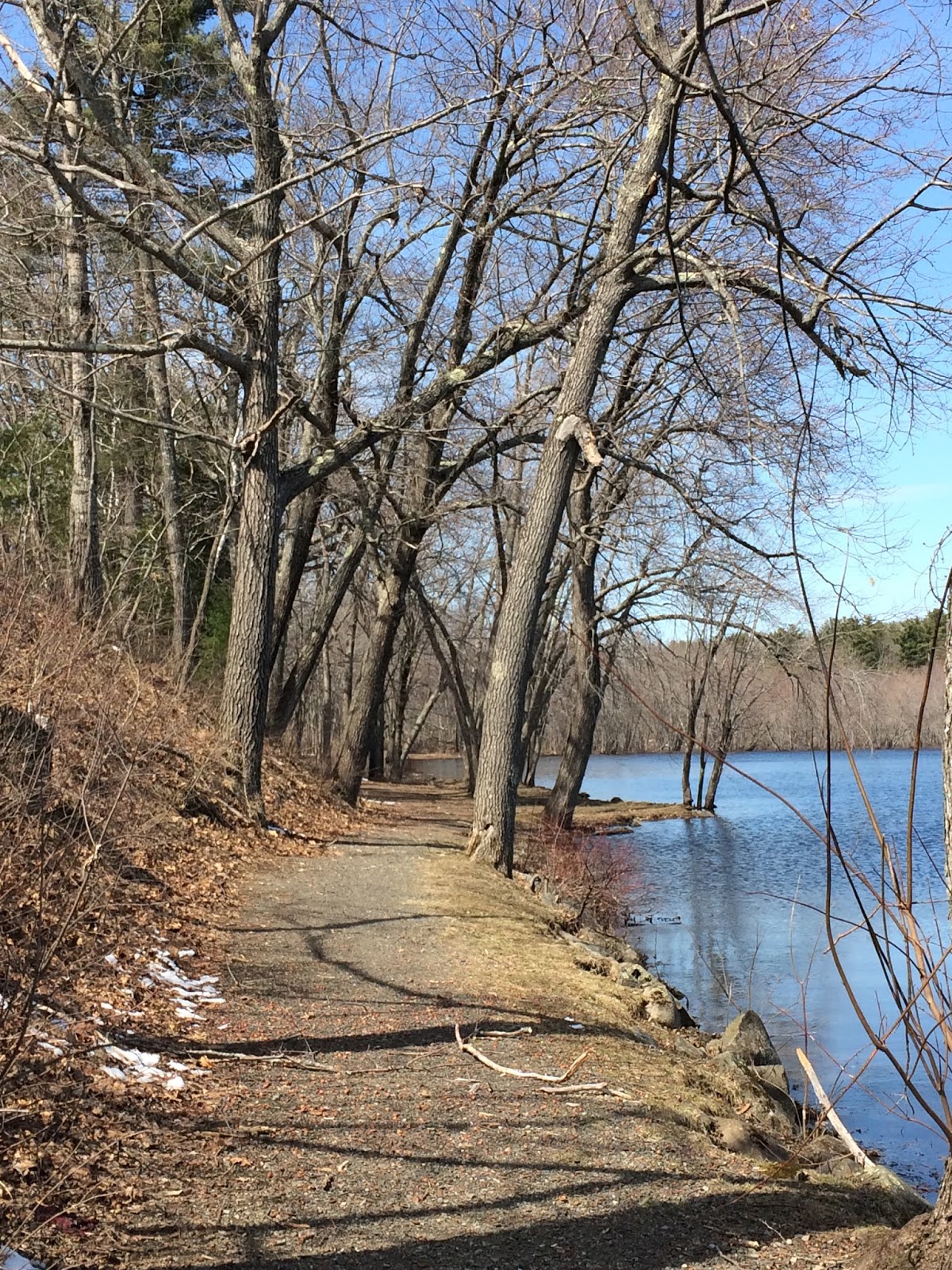 Jackson Beach and Hermon Pond Park