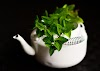  GREEN TEA: How to make green tea, Benefits of green tea, Disadvantages of green tea