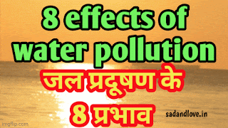 8 effects of water pollution - जल प्रदूषण के 8 प्रभाव