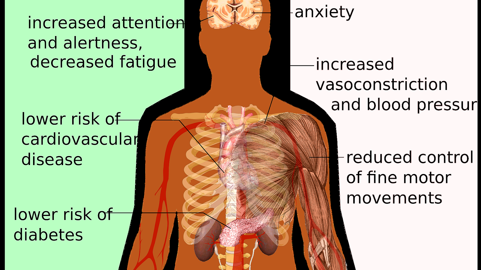 Effects Of Energy Drinks On The Body Energy Choices