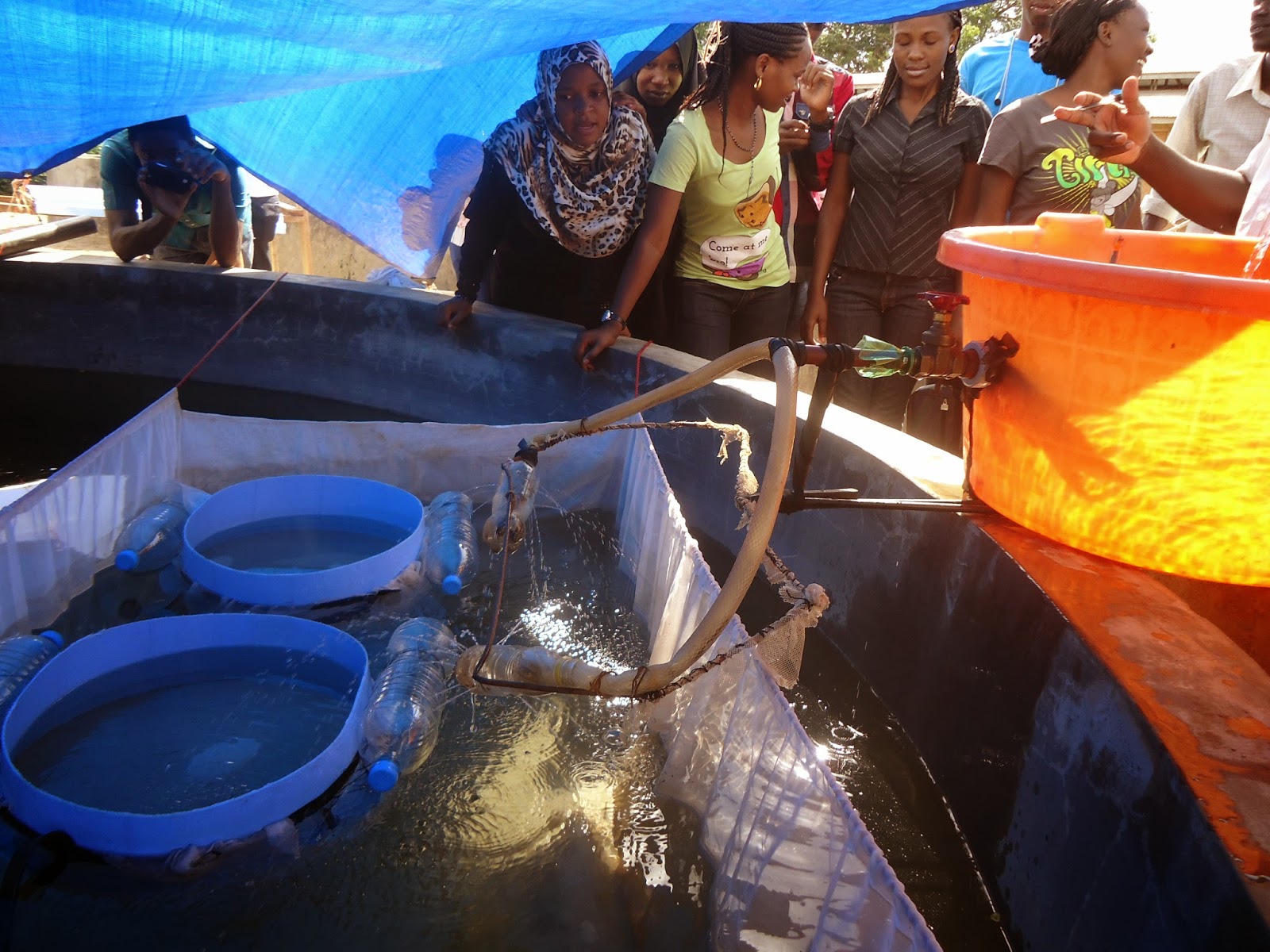 TRACING CHALLENGES AND OPPORTUNITIES UNDERSTANDING ARTIFICIAL